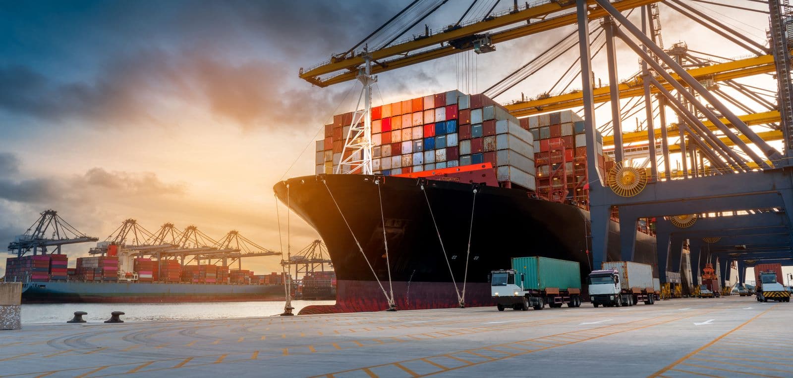 Hotline International Shipping